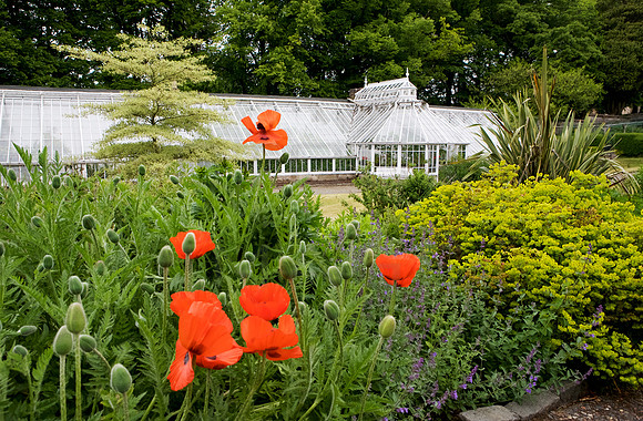 Glennapp Castle Gardens_0903