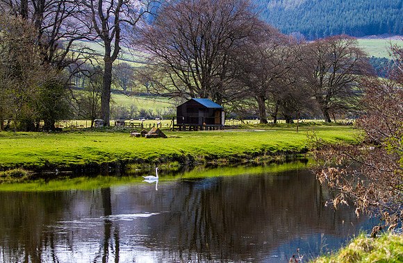Peaceful Tweed_3209_7D