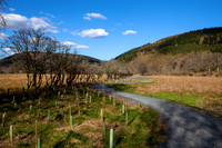 Traquair Path_3068_5D11