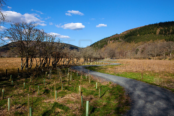 Traquair Path_3068_5D11