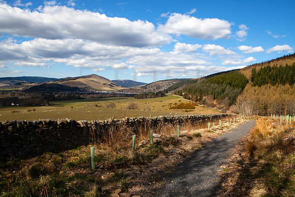 Path from Traquair to Innerleithen_3027_5D11