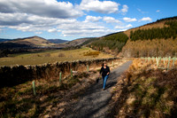 An Afternoon Stroll_3024_5D11