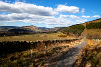 Path from Traquair to Innerleithen_3027_5D11