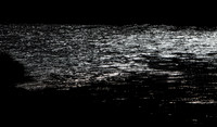 Silvery Black_7898-90D