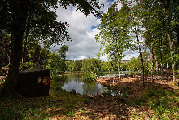 Bowhill Loch_0208-Bowhill-5D