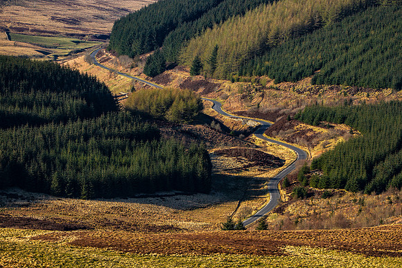 The Winding Road_3260_7D_mountbenger