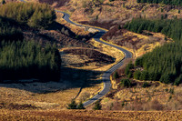 The Open Road_3261_7D_mountbenger