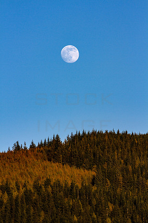 Moon over Caddon Bank_3266_5D11
