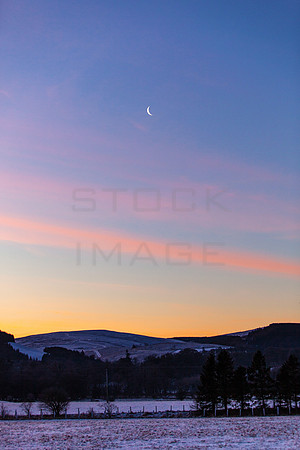 Crescent Moon January Dawn_1980_local