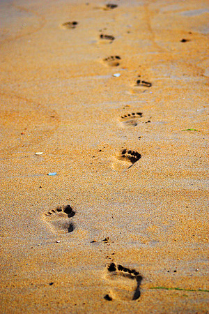 Footprints in the Sand