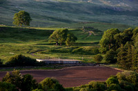 Fintry Landscape_2712-5DM111