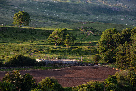 Fintry Landscape_2712-5DM111