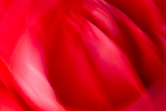 Motion in Red_5805