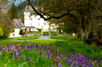 Traquair House and Bluebells_3485_7D_local