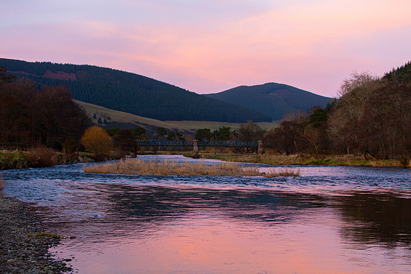 Pink Light on Tweed_8173-5D-local
