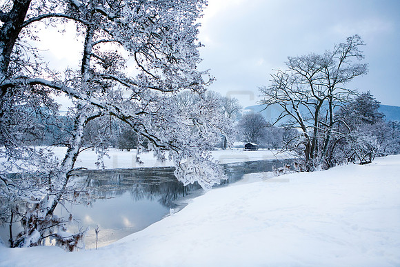 The Frozen Riverbank_2137-3