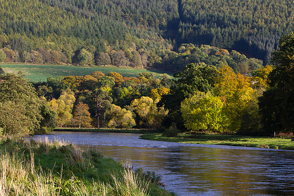 Traquair Beat October-7246