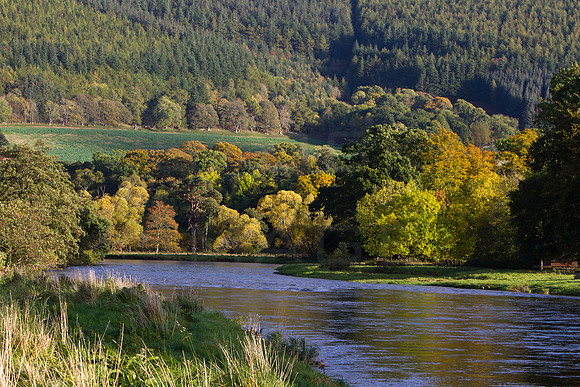 Traquair Beat October-7246