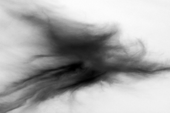 Hallowed Spectre_7853