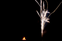 fireworks_2017-9429