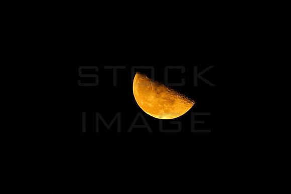 20171209-_half moon rising_9786