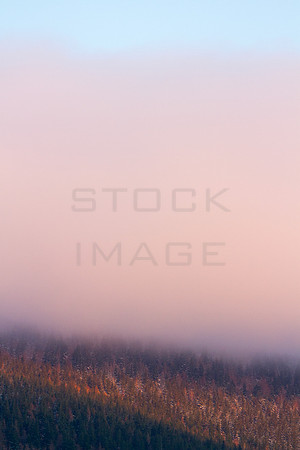Obscuration-0094