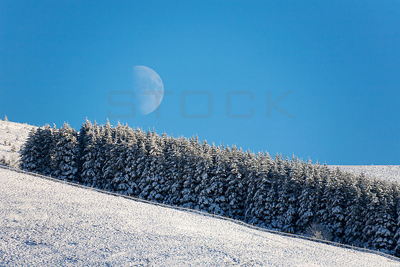 Waxing Winter Blue Moon_9910