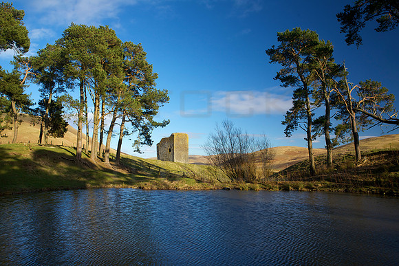 Dryhope Tower_8762