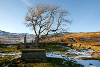 St Mary's Graveyard_0004