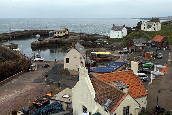 St Abbs_Harbour_0981