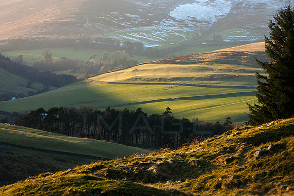 Winter Light on Southern Land_0054