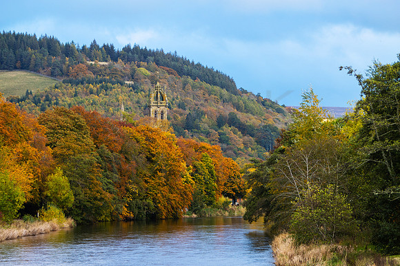 River Tweed in Autumn Peebles_2431-90D-autumn