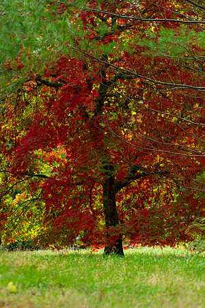 Seasonal Change_9106