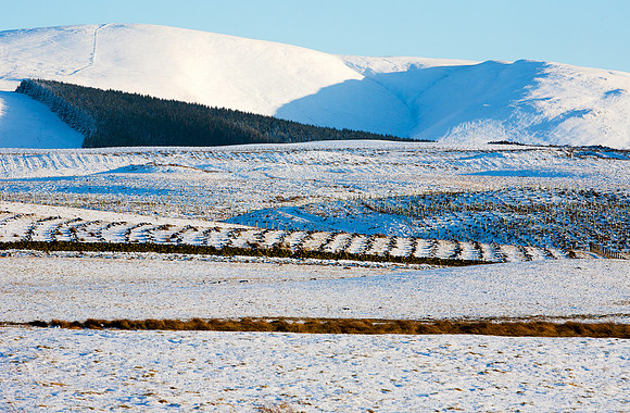 Winter Moorfoot Textures_9998