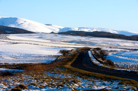 Road through Moorfoots_9987