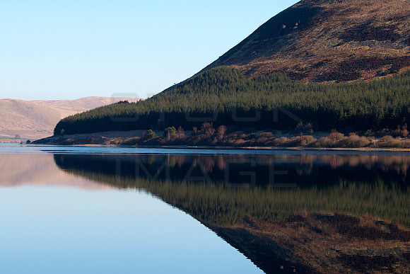 Point of Reflection_0249