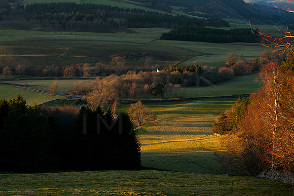 Traquair Valley Overview_0075