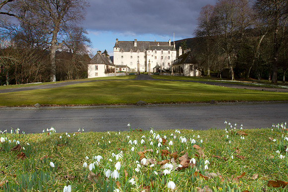 Traquair House Snowdrops_0204-05