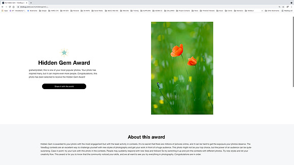 Hidden Gem Award_Viewbug