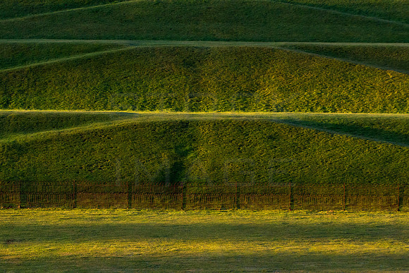 Layers of Green-9984