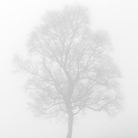Breathe_2197