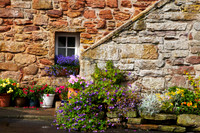 Garden Window_2625
