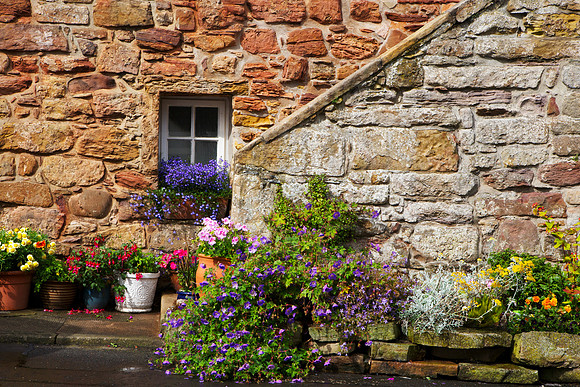Garden Window_2625