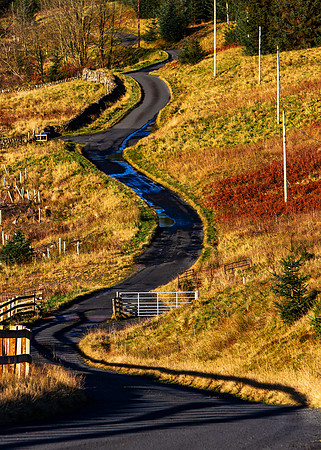 The Long and Winding Road to Fruid_0055_7D2