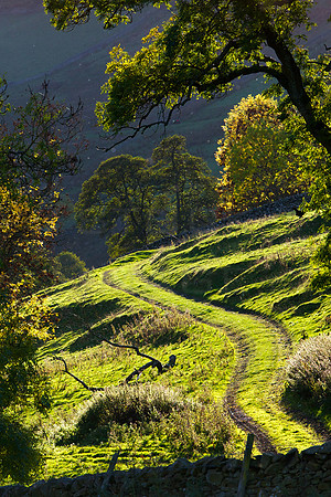 Track through Autumn_0858