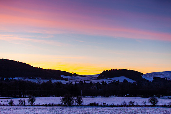 Southern Dawn Light_1978_local