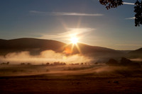 The Morning Star_1106