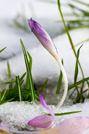 The Rising_0385