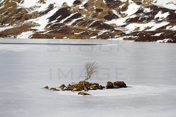 I Stand Alone_0426