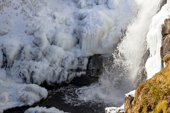 Freezing Tail_0414